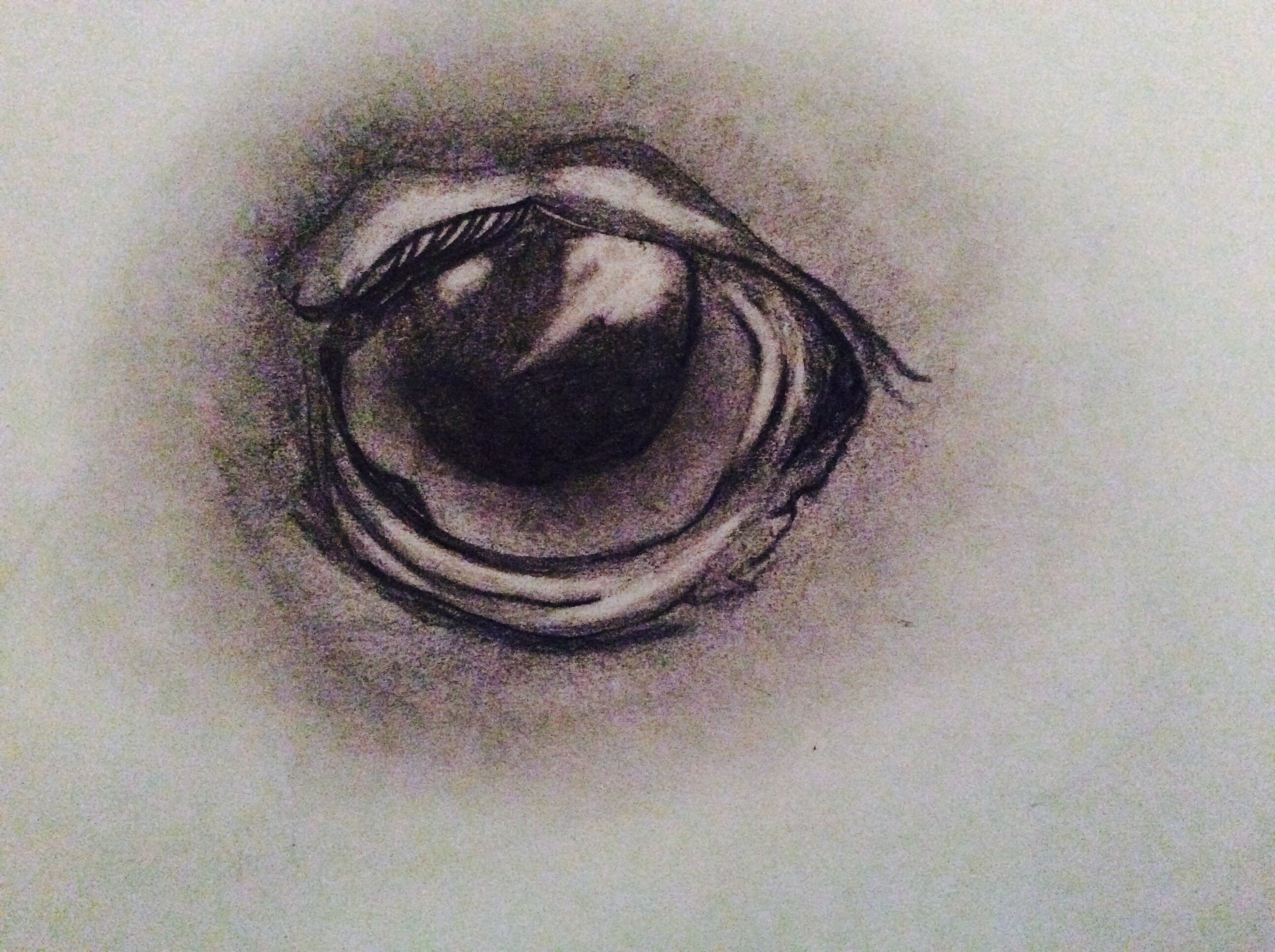 2592x1936 Realistic Horse Eye Drawing - Horse Eye Drawing