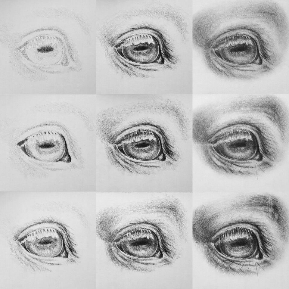 960x960 Tutorial How To Draw A Realistic Horse Eye With Pencil - Horse Eye Drawing