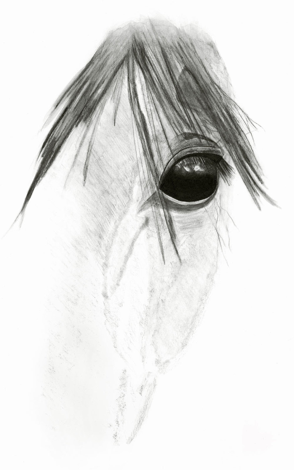 938x1500 Horse Art Print Horse Eye Pencil Drawing Etsy - Horse Eye Drawing
