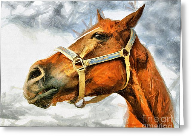 646x470 Horse Face Drawing Pastel - Horse Face Drawing