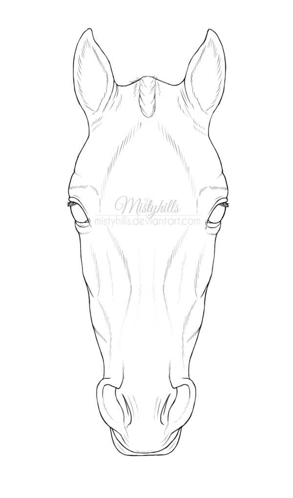 600x1019 Horse Head Lineart - Horse Face Drawing