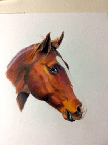 375x502 Horse Face Drawing - Horse Face Drawing