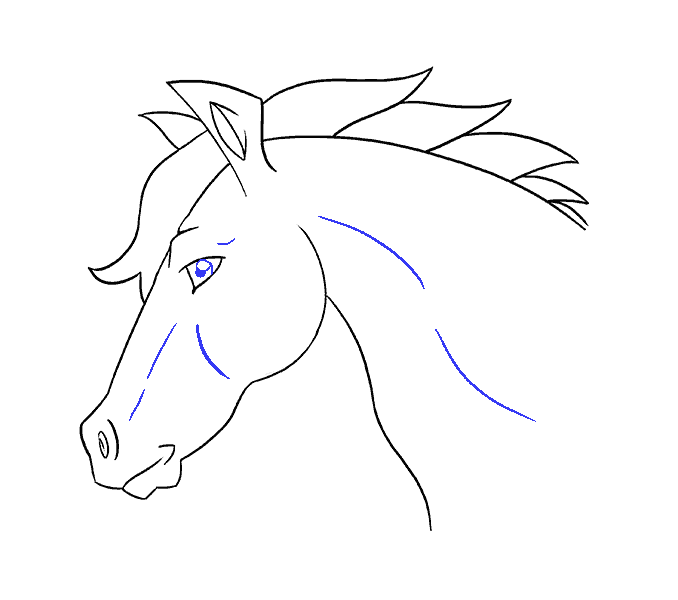678x600 How To Draw A Horse's Head Easy Drawing Guides - Horse Face Drawing