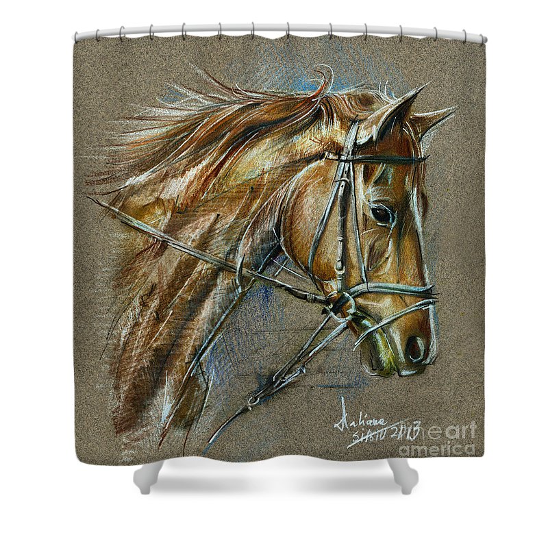 800x800 My Horse Face Drawing Shower Curtain For Sale - Horse Face Drawing