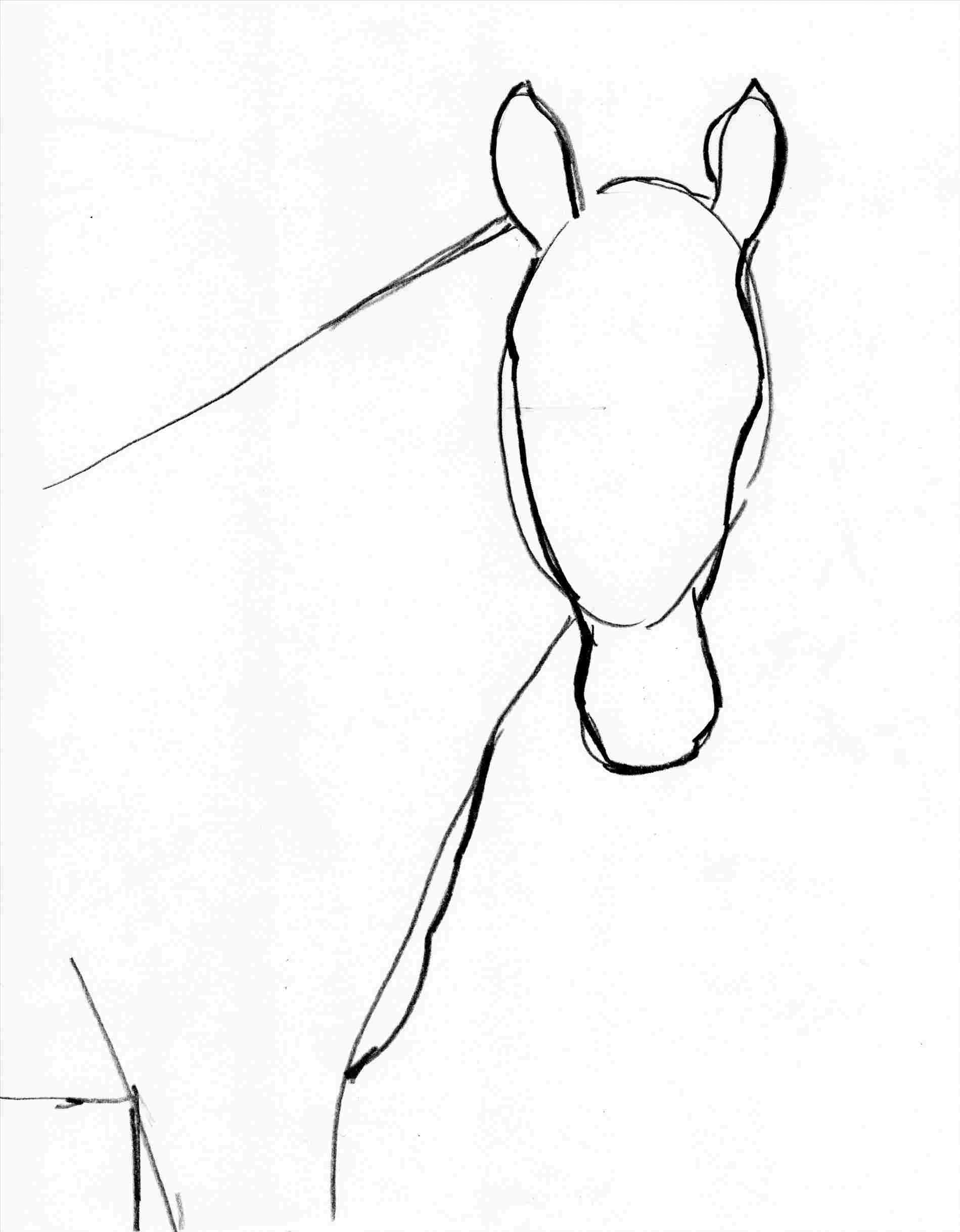 1899x2436 About On Rhdrawingcollectioncom Simple Horse Face Drawing Step - Horse Face Drawing