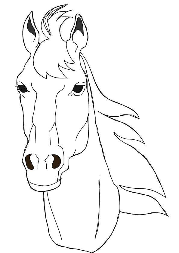 595x842 Simple Horse Face Drawing - Horse Face Drawing