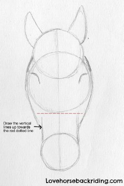 250x375 Your Drawing Of A Horse Head - Horse Face Drawing