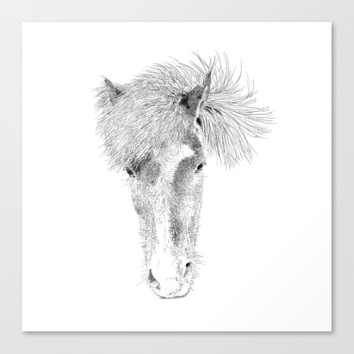 700x700 Horse Face Drawing Canvas Print - Horse Face Drawing