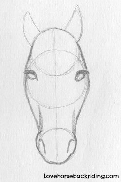 250x375 Designing Horse Pencil Drawings - Horse Face Drawing