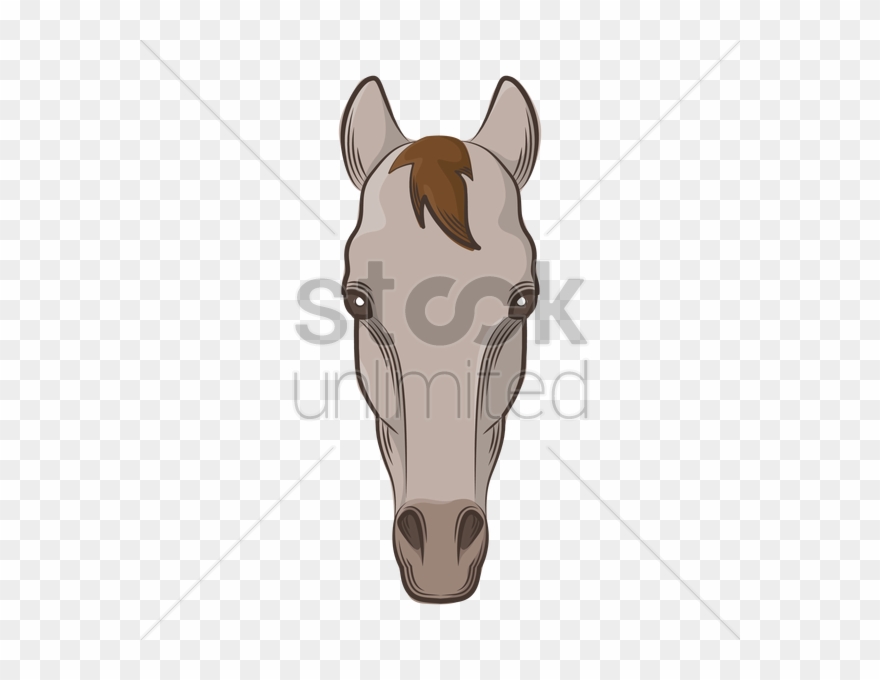 880x680 Drawing Clipart Horse Drawing - Horse Face Drawing