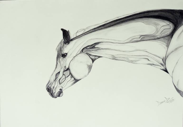 770x537 Charcoal Horse - Horse Figure Drawing