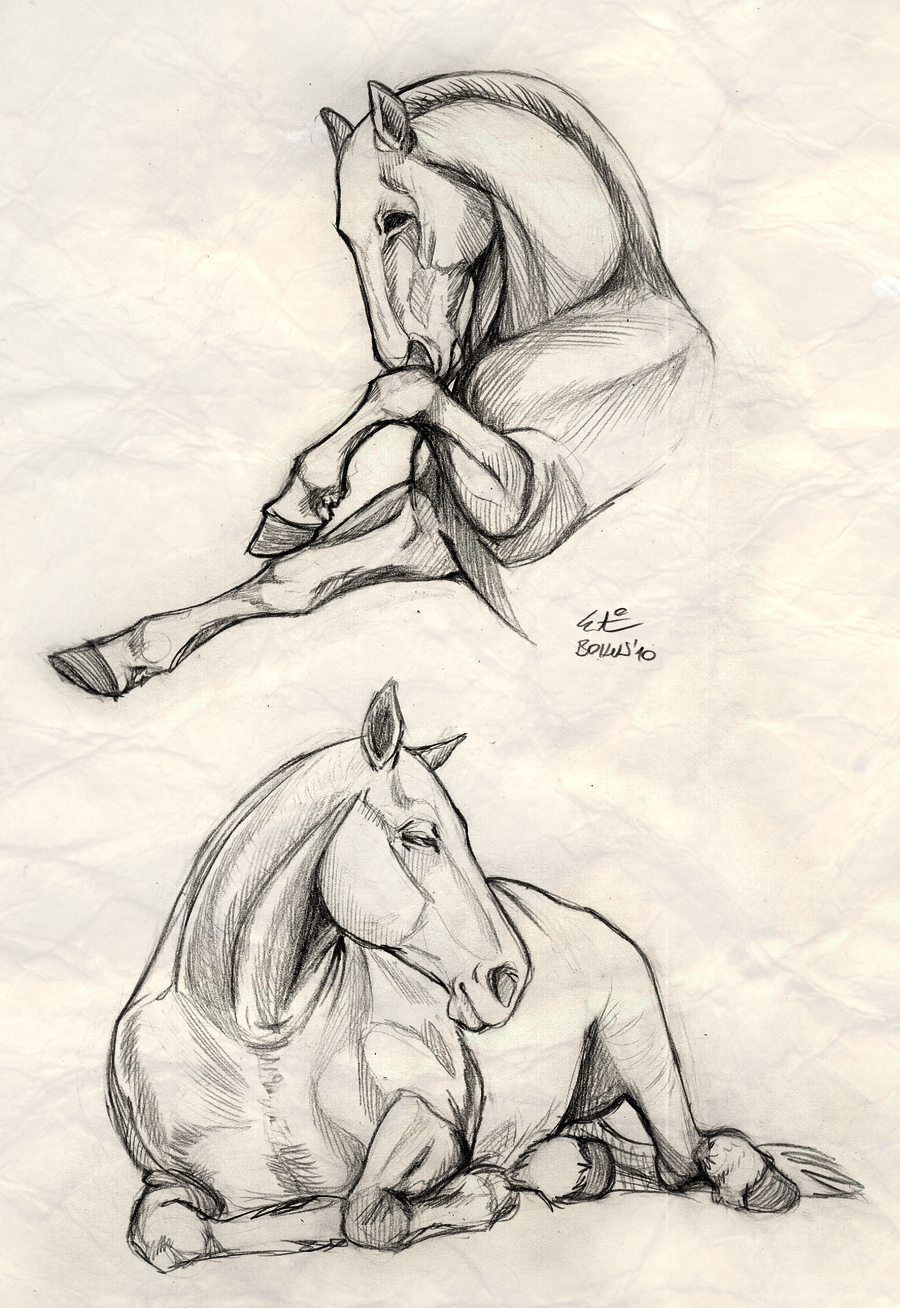 900x1308 Drawing - Horse Figure Drawing