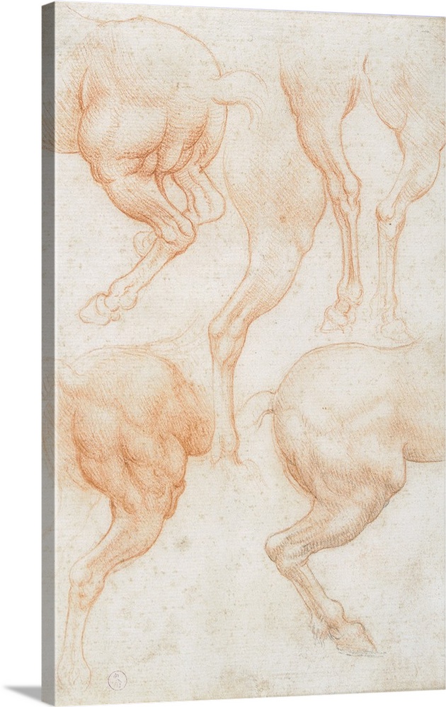 630x1000 Drawing Of Horse Rear Legs - Horse Figure Drawing