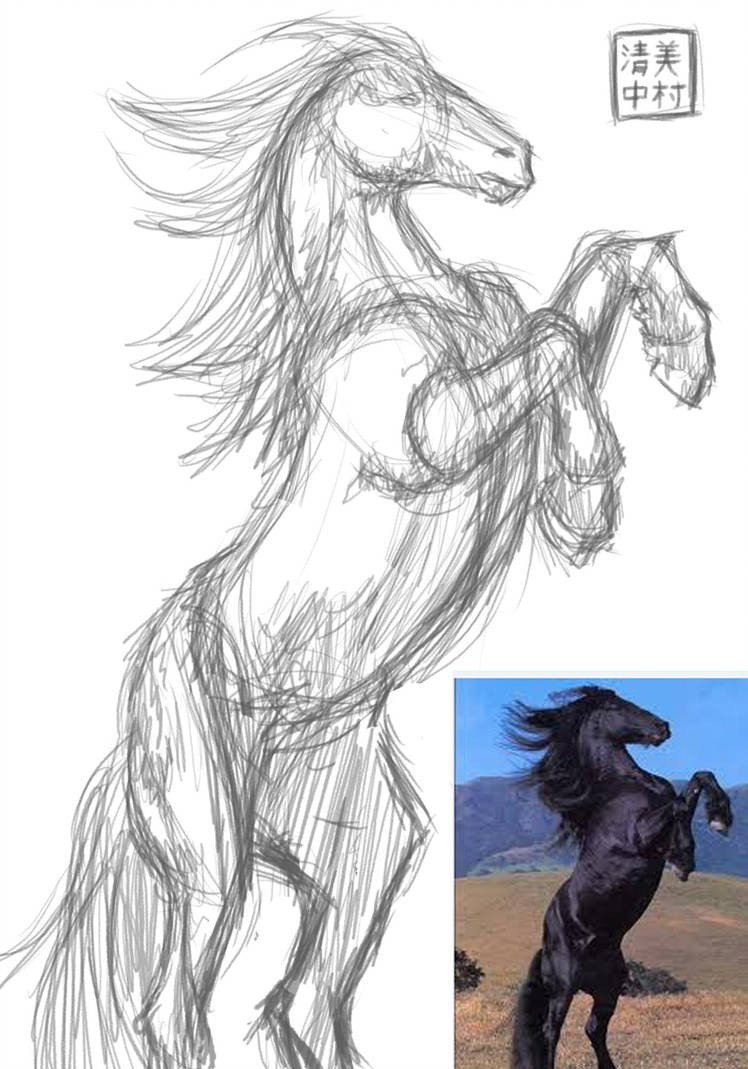 748x1069 Figure Drawing With Reference - Horse Figure Drawing