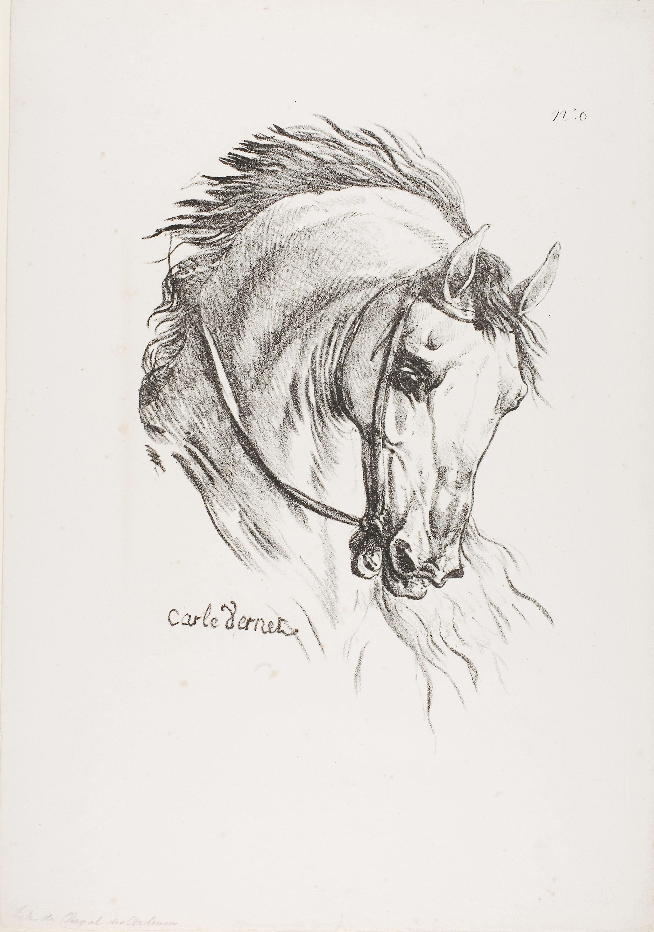 2106x3000 Free Images Black And White, Head, Sketch, Figure Drawing, Horse - Horse Figure Drawing