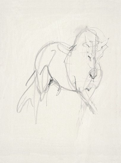 408x550 Lydia Kiernan Art In Horse Sketch, Equine Art, Horse Drawings - Horse Figure Drawing