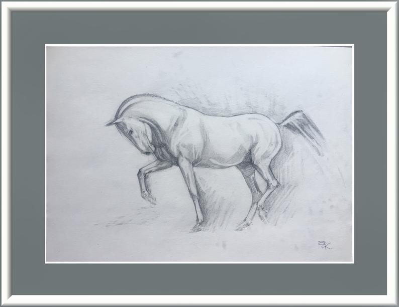 794x612 Original Pencil Horse Sketch Pencil Sketch Horse Drawing Etsy - Horse Figure Drawing
