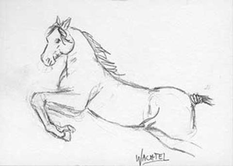 480x343 Ebay Auction - Horse Figure Drawing