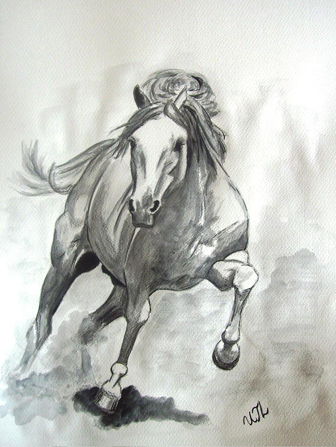 676x900 Galloping Horse Painting - Horse Galloping Drawing
