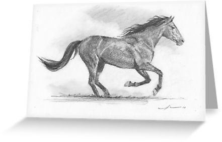 441x283 Galloping Horse Drawing Greeting Cards - Horse Galloping Drawing