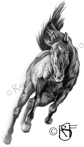 288x502 Head On Galloping Horse - Horse Galloping Drawing