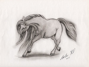 300x224 Horse Gallop Drawings - Horse Galloping Drawing