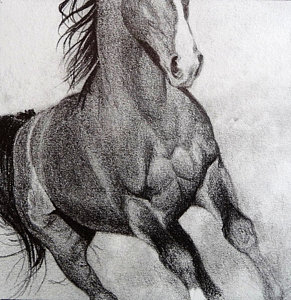 291x300 Horse Gallop Drawings - Horse Galloping Drawing
