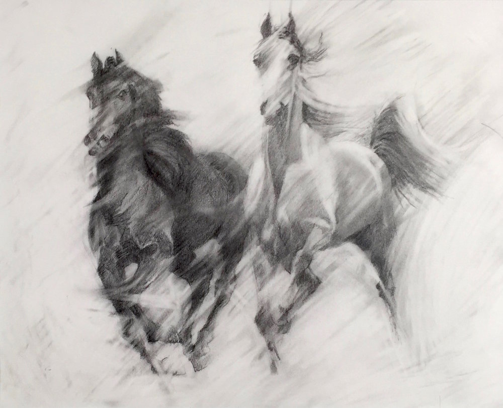 1000x812 Horses Penny Wheatley Artist Big Cats - Horse Galloping Drawing