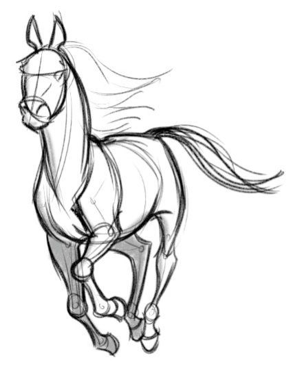 426x569 Image Result For Galloping Horses Drawings Easy Equine Artwork - Horse Galloping Drawing