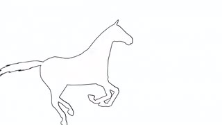 320x180 Line Drawing Of Horse Galloping Across Screen Motion Background - Horse Galloping Drawing