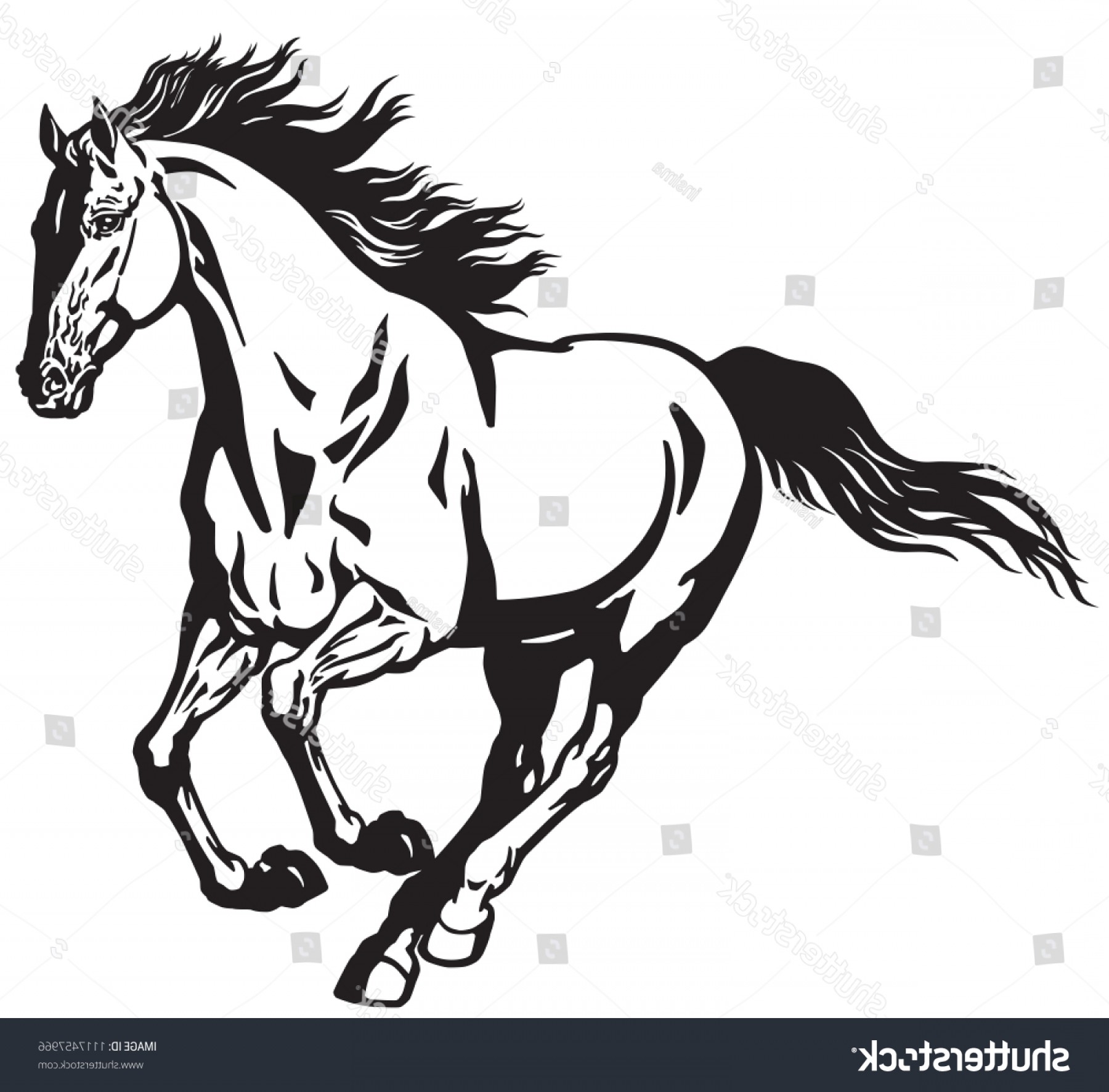 Horse Galloping Drawing at Explore collection of