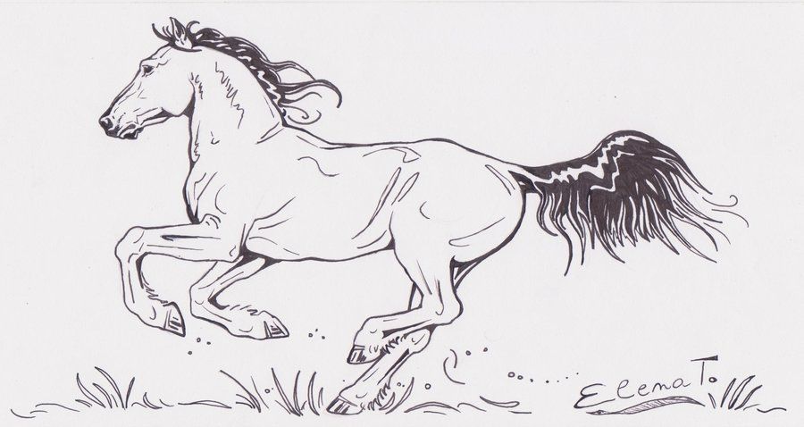 900x478 Galloping Horse - Horse Galloping Drawing