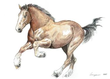 375x270 Draft Horse Galloping Pencil And Watercolor Illustration Drawing - Horse Galloping Drawing