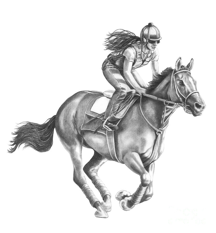 Horse Galloping Drawing at Explore collection of