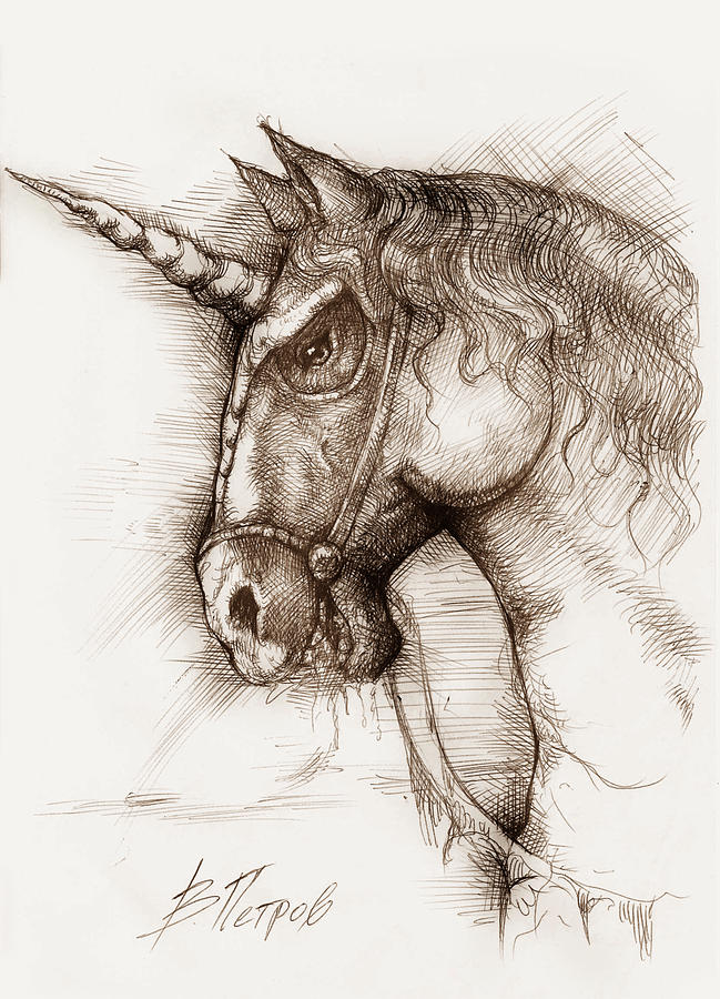 649x900 Horse Head Drawing - Horse Head Drawing