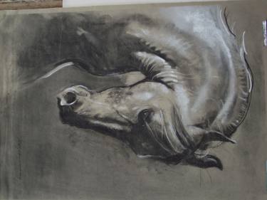 375x281 Horse Head Study Drawing - Horse Head Drawing