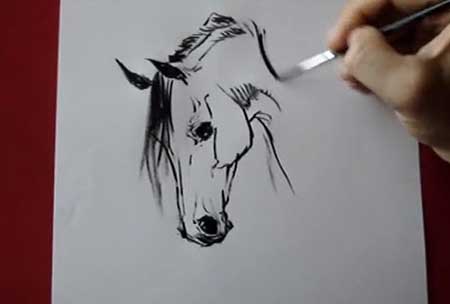 450x304 Horse Head - Horse Head Drawing