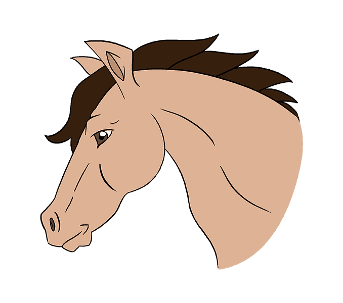678x600 How To Draw A Horse's Head Easy Drawing Guides - Horse Head Drawing