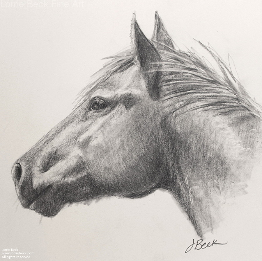 900x899 lorrie beck - Horse Head Drawing