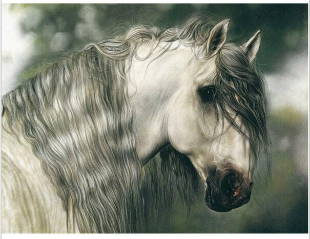 605x466 Diamond Embroidery Horse Head Drawing Diamond Cross Stitch - Horse Head Drawing