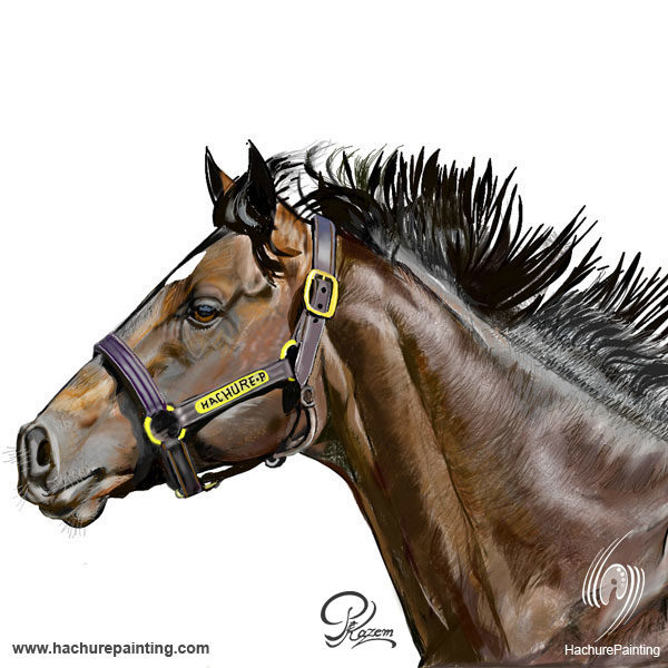 600x600 Horse's Head, Drawing From The Side View - Horse Head Drawing