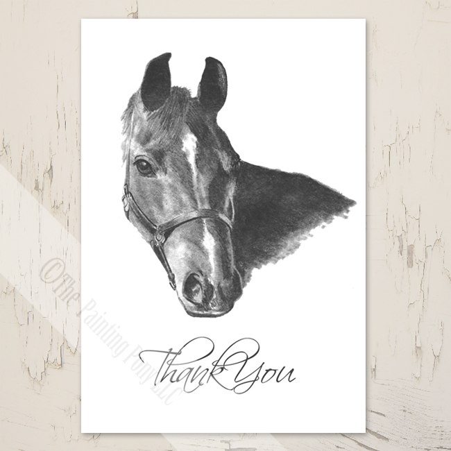 650x650 Horse Head Drawing Thank You Note Cards - Horse Head Drawing