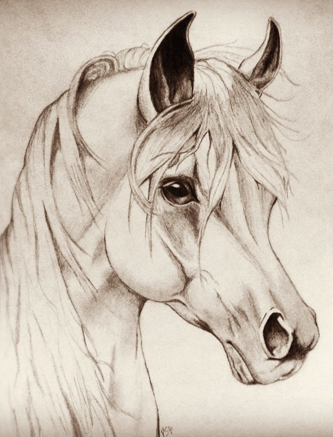 fallen horse sketch easy