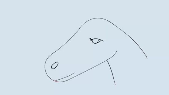 550x309 How To Draw A Horse Head Steps - Horse Head Drawing Easy