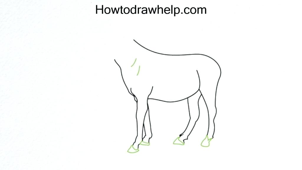 1024x576 Horse Drawing Step - Horse Head Drawing Easy