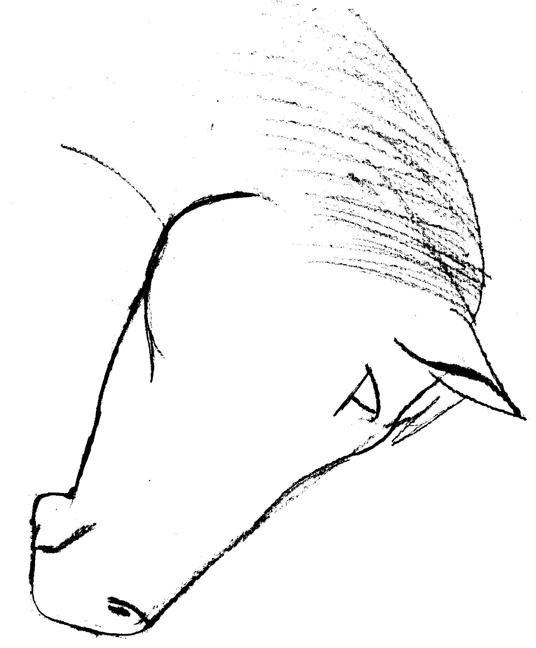 1745x2110 Easy Step - Horse Head Drawing Easy