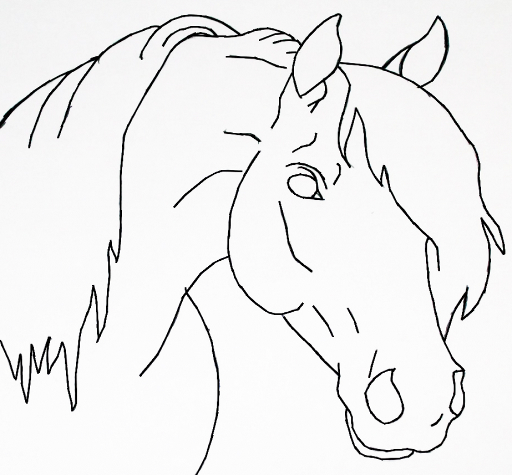 Horse Head Drawing Easy at Explore collection of