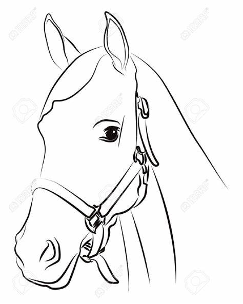 474x593 Horse Head Drawing Outline Gtgt - Horse Head Drawing Outline
