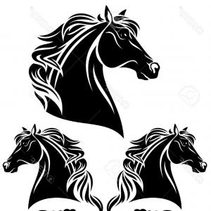 300x300 Stock Photo Horse Head Vector Lazttweet - Horse Head Drawing Outline