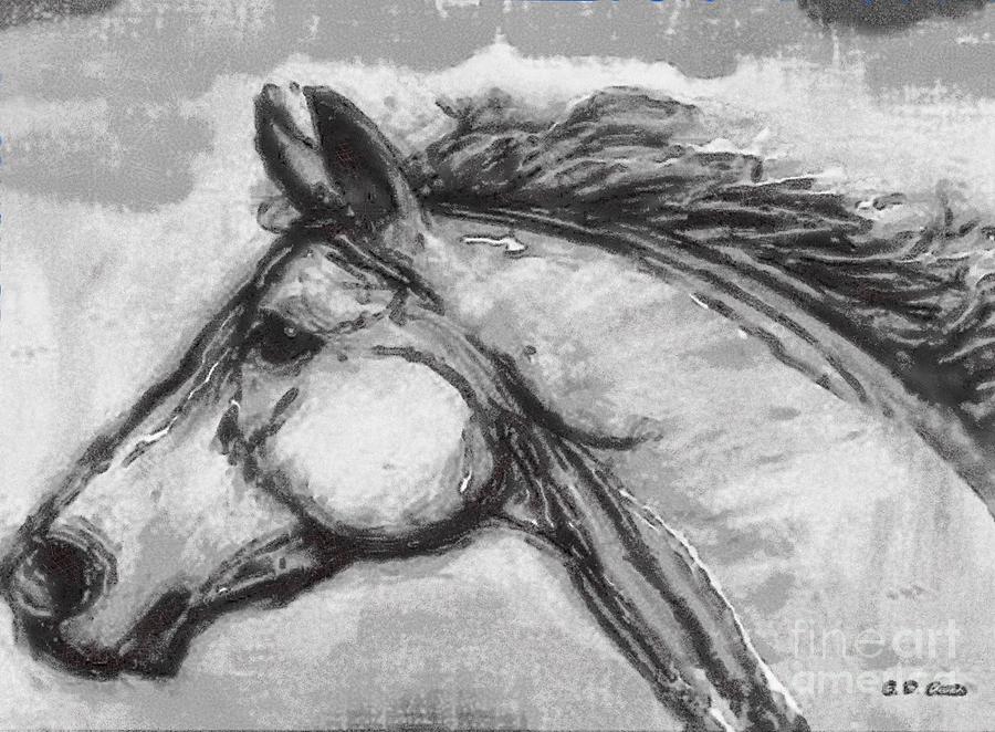900x662 Horse Head Study Drawing - Horse Head Drawing Pictures